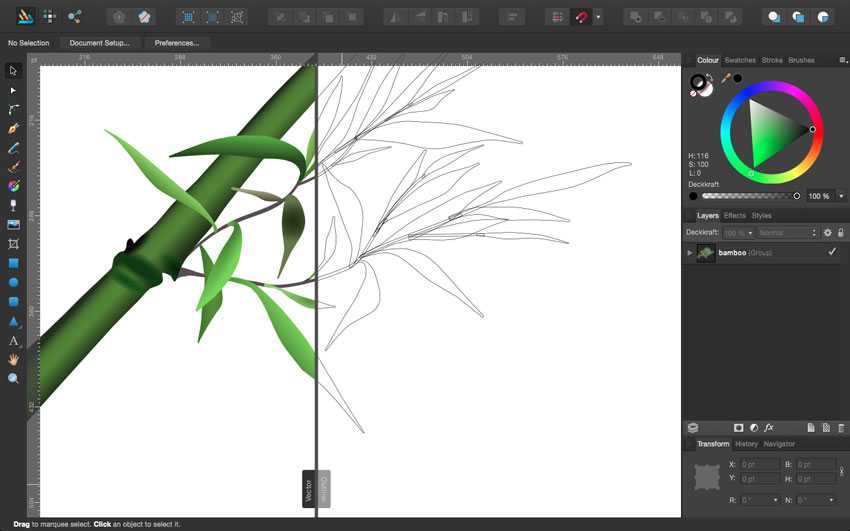 My bamboo design in Affinity Designer